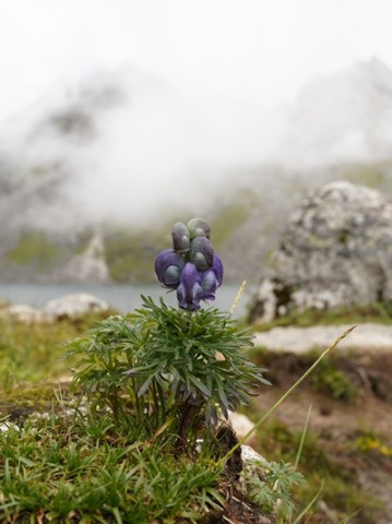 甘孜隔壁的理县，一天一夜露营攻略，看完就想出发
