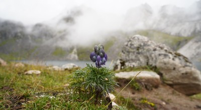 我把甘孜这个冷门县走了一遍，结果跟我想的完全不一样