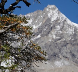 理县发朋友圈，别只会拍雪山！这6个隐藏机位让你获赞到手软