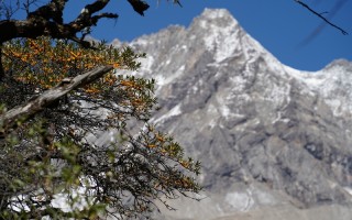 十个土包子闯汶川，笑泪交织的48小时，他们看到了不一样的震后新城