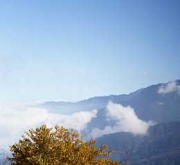 理县古尔沟六月游，这地方有点意思