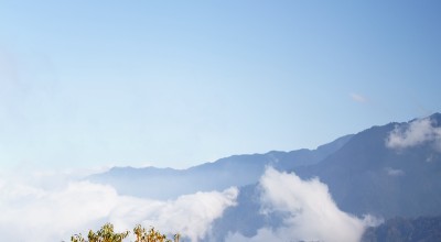 理县，凭什么成了川西顶流？